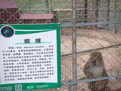 -北京鹿世界主题园