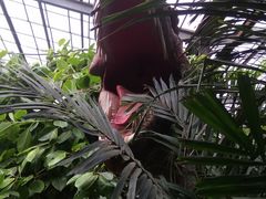 -呀路古热带植物园-恐龙馆