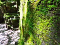 -野三坡百里峡景区