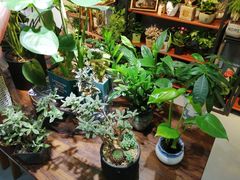 -何兮花店·气球派对鲜花店(马桥银春路万科城店)