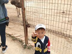 -祥源·阜阳生态乐园