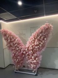 点击看大图 -左岸摄影写真(天津旗舰店)