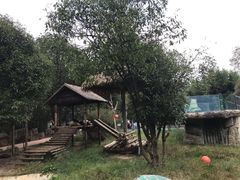 -贵州森林野生动物园