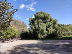 -长白岛森林公园