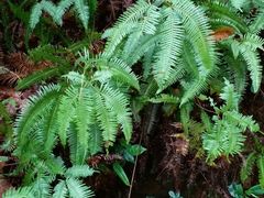 -楠溪江风景名胜区