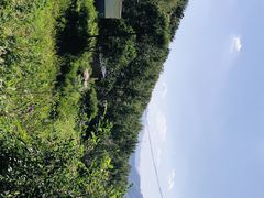 -妙峰山风景名胜区