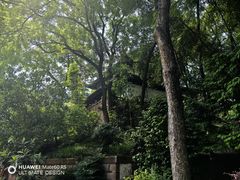 -成都市文化公园