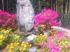 -红螺寺