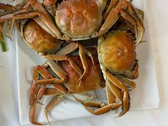 -渔民船说·北塘海鲜·天津菜·海肠捞饭(北塘古镇店)
