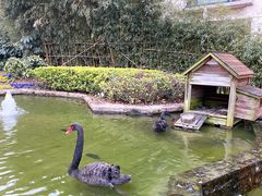 -行者书屋大堂吧 ·下午茶(南京圣和府邸酒店)