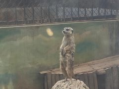-昆明动物园