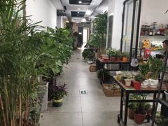 -苏州艺都古玩花鸟市场