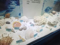 -温州博物馆