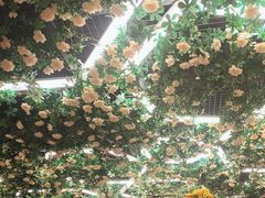 -山西派(桥东街店)