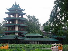 -桂湖森林公园