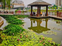 -雁滩公园