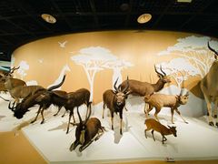 -陕西自然博物馆