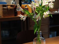 -一坐一忘云南菜(三里屯店)