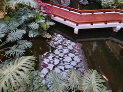 -白天鹅宾馆·流浮阁咖啡厅