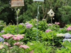 -上海共青森林公园