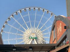 -The Dishes Seafood & Restaurant