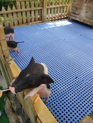 -萌宠亲子动物乐园(槐房万达店)