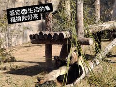 -上海野生动物园