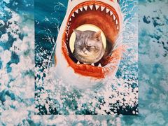 -深圳湾万象城(南山店)