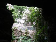 -北京植物园-展览温室