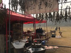 -秀丽东方