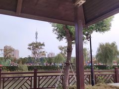 -菊园百果园
