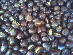 -粒上皇(市桥易发商业街店)