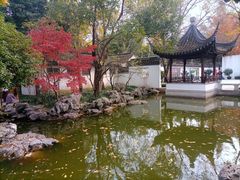 -秋霞圃