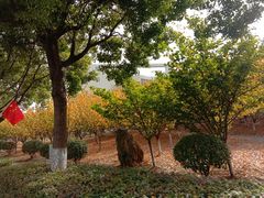 -南京医科大学(江宁校区)
