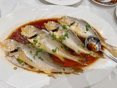 清蒸黄鱼-万宝海鲜舫(劳动公园店)