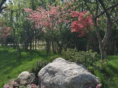 -艾溪湖湿地公园