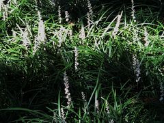 -辛亥革命博物院北区