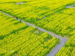 -汉长安城未央宫国家考古遗址公园