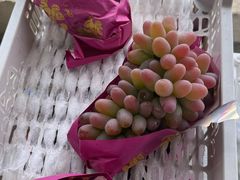 -马陆小张葡萄园农家乐