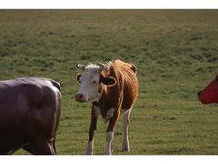 -亿利库布其七星湖沙漠生态旅游区