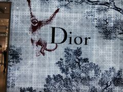 -DIOR迪奥(德基广场女装店)