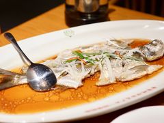 -丹江渔村(望京店)