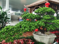 -温州龙湾国际机场