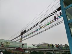 -百万葵园