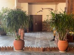 -重庆海昌加勒比海水世界