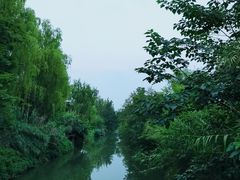 -白鹭湾湿地公园