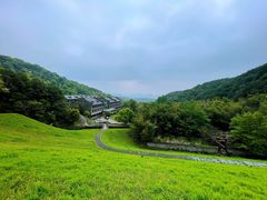 -龙坞茶村