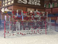 -湘江欢乐城欢乐雪域