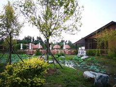 -中家鑫园温泉酒店鑫悦汤泉