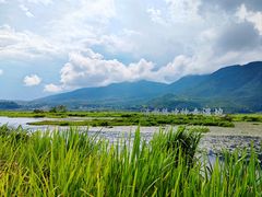 -腾冲北海湿地